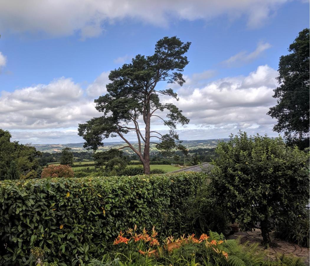 Cozy Snug Room, Short Drive To Lyme Regis, Crackling Fireplace, Private Balcony & Stunning Countryside Views, Free Private Parking & Wifi Axminster Dış mekan fotoğraf