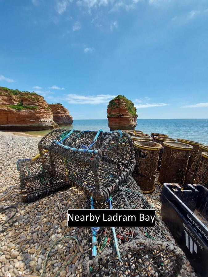 Cozy Snug Room, Short Drive To Lyme Regis, Crackling Fireplace, Private Balcony & Stunning Countryside Views, Free Private Parking & Wifi Axminster Dış mekan fotoğraf