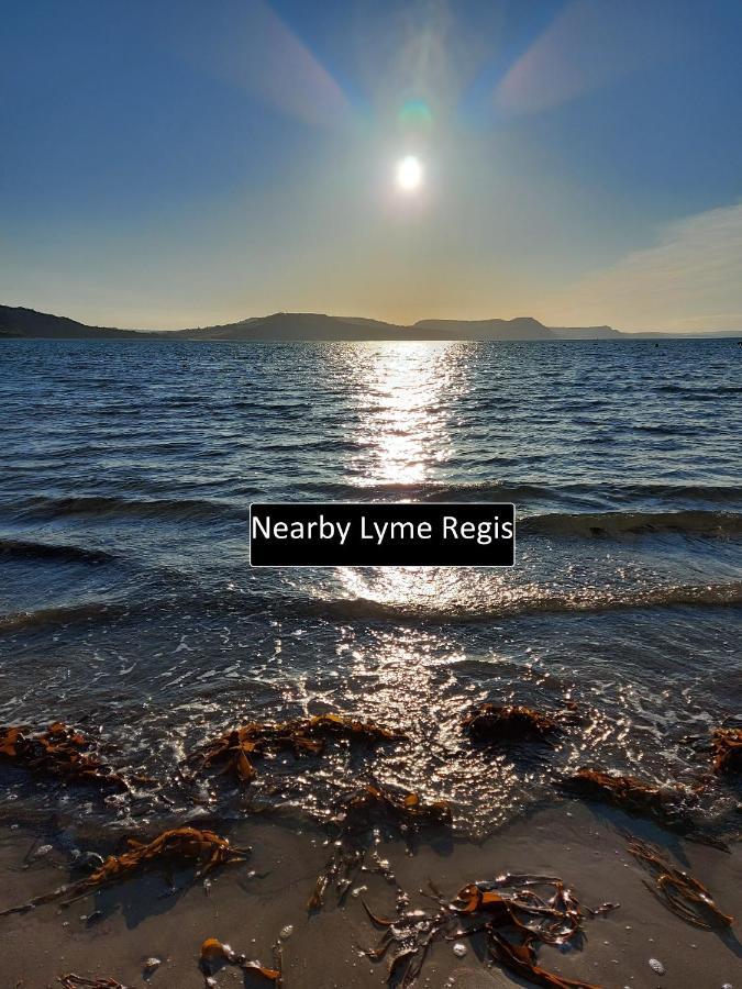 Cozy Snug Room, Short Drive To Lyme Regis, Crackling Fireplace, Private Balcony & Stunning Countryside Views, Free Private Parking & Wifi Axminster Dış mekan fotoğraf